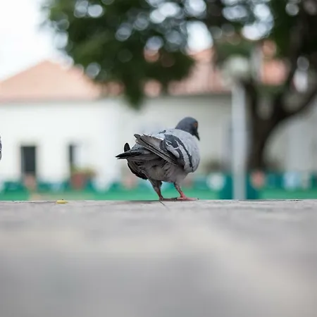 Casa Santa Marinha Апартаменты